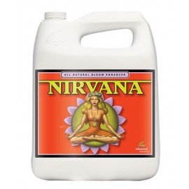 Nirvana